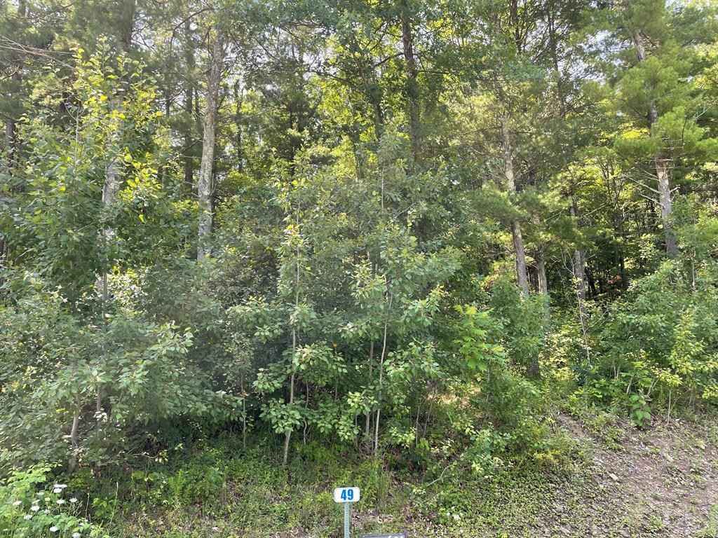 Lot 49 Hemlock Hls Rd  