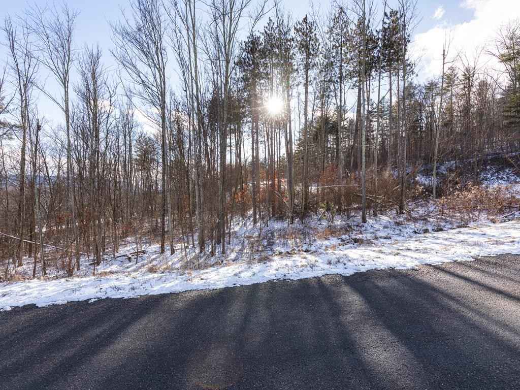 Lot 29 Hemlock Hls Rd  