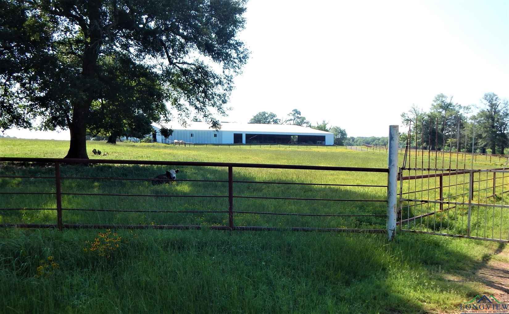 8223 S ST HWY 155  