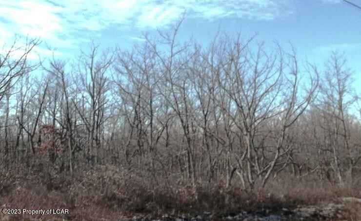 TW Lot 379 Honeysuckle Dr  