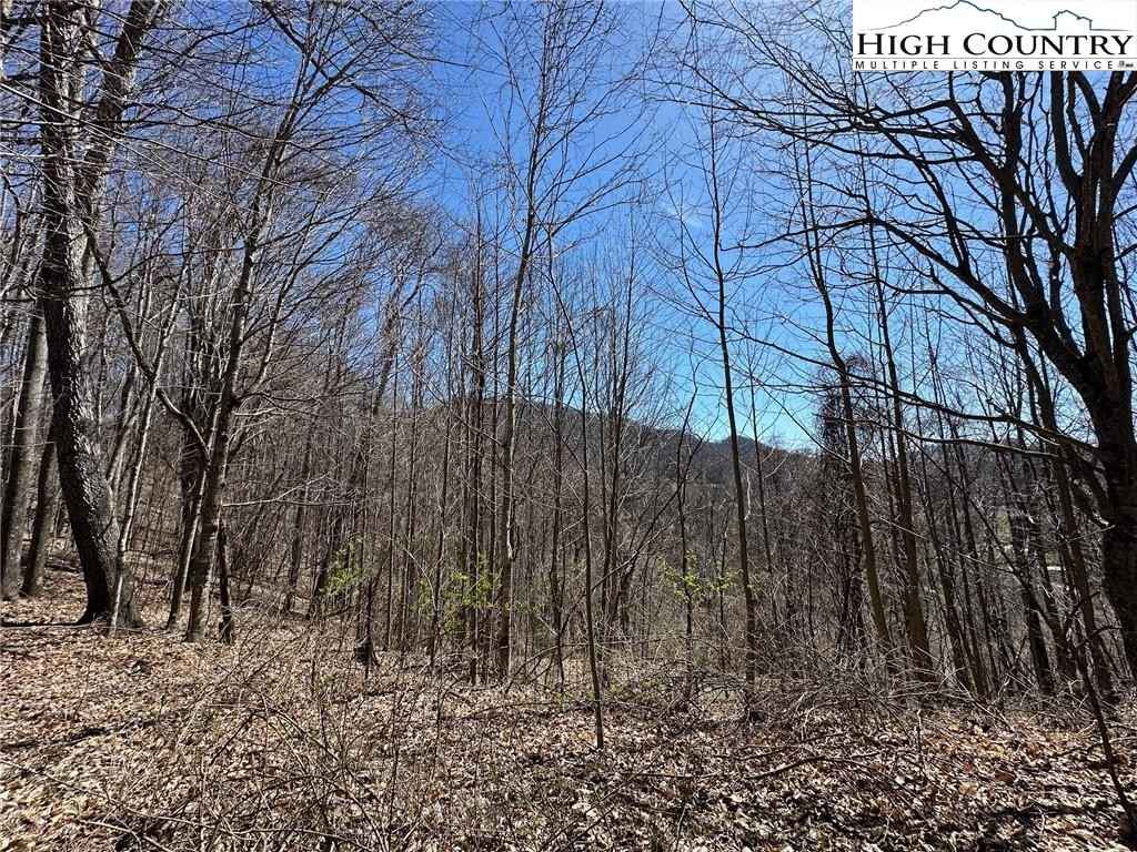Lot 10 Reserved Lot Yasmine Ln  