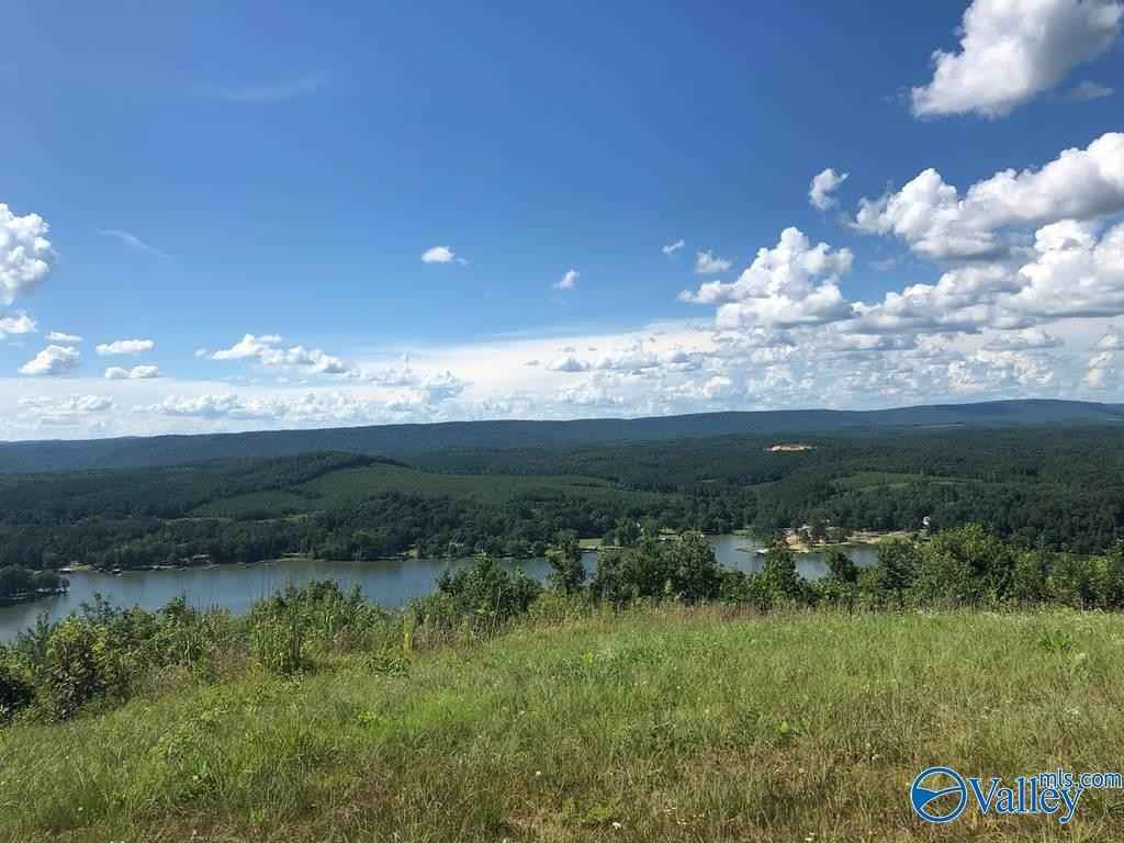 Lot 229 County Rd 767  