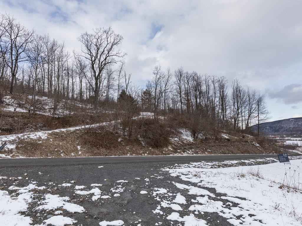 Lot 1 Hemlock Hls Rd  