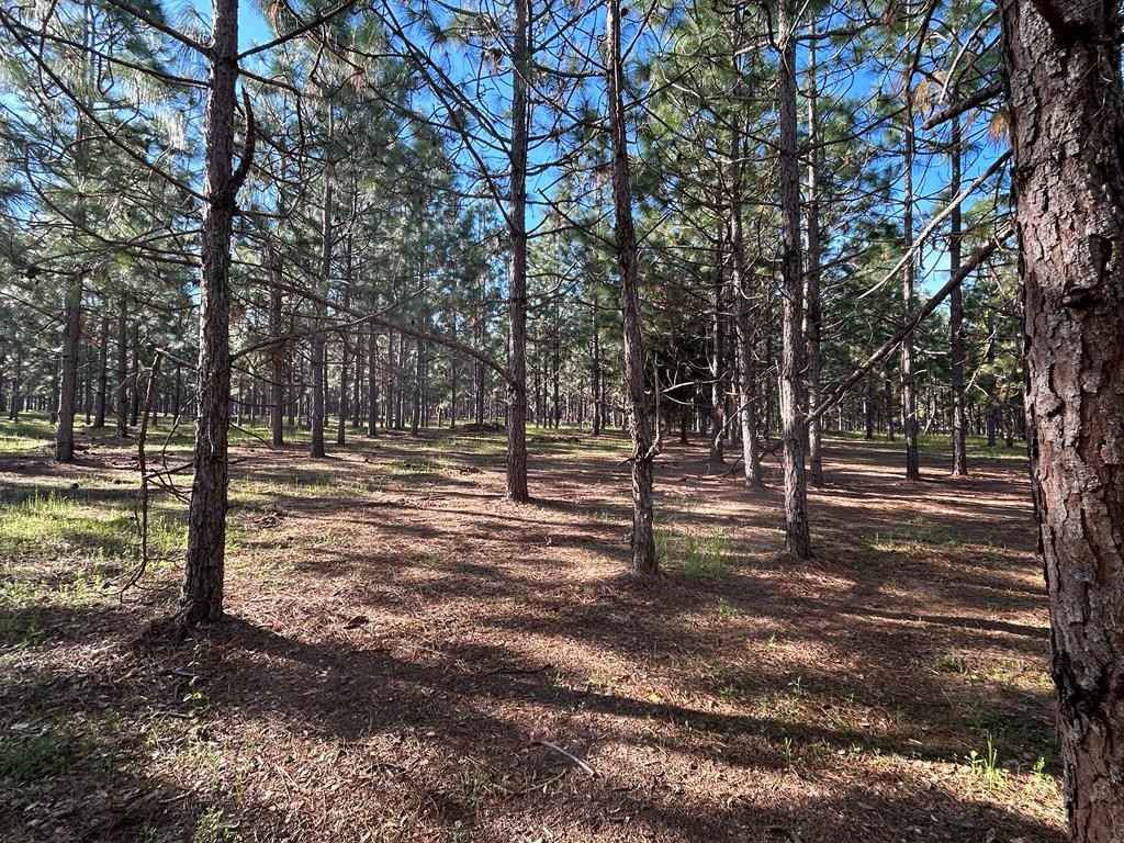 Lot 3 3-ac Cty Rd 18  