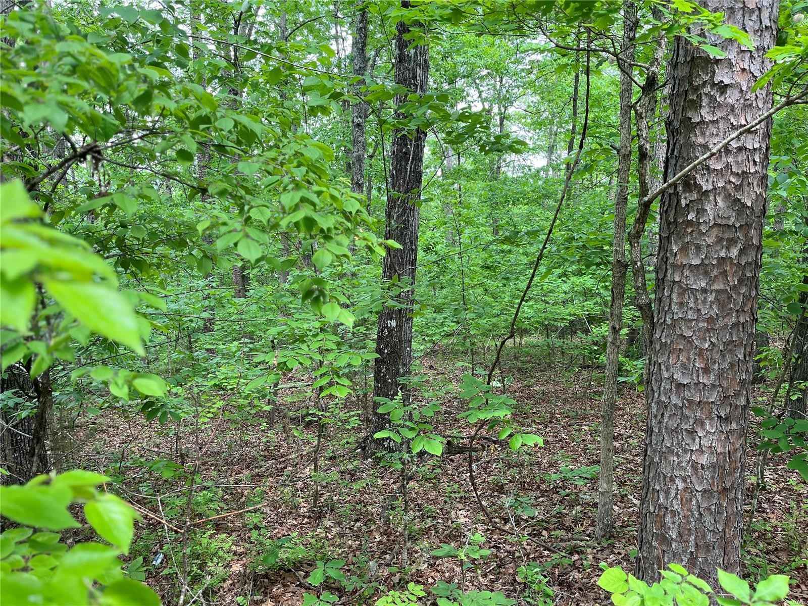 0 Deer Run Plat 12 Lot 18  