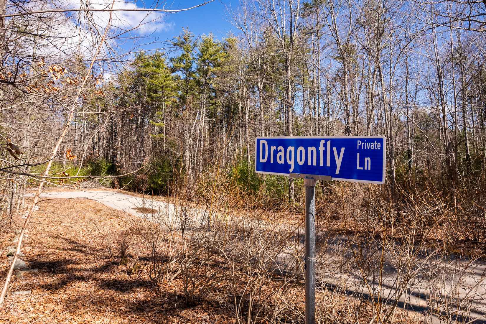 0 Dragonfly Ln  