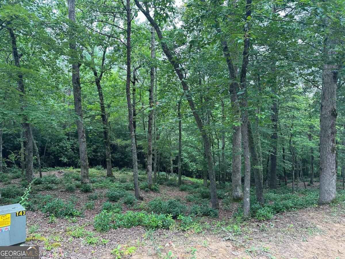 LOT 20 Brasstown Trails  