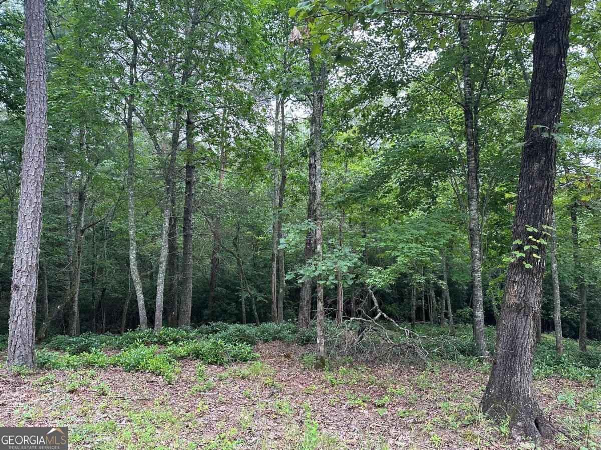 LOT 21 Brasstown Trails  