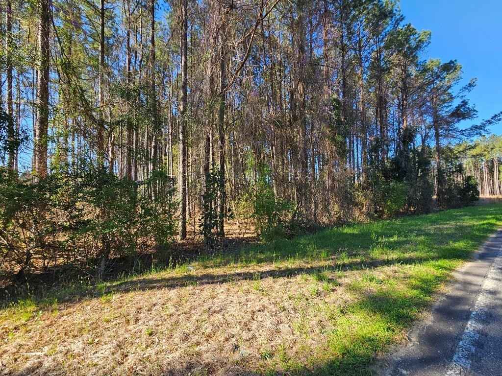 TBD Riley Rd Lot 5  