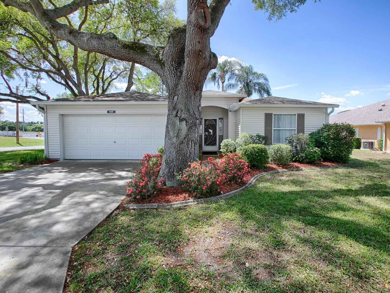 956 FOREST BREEZE Path  