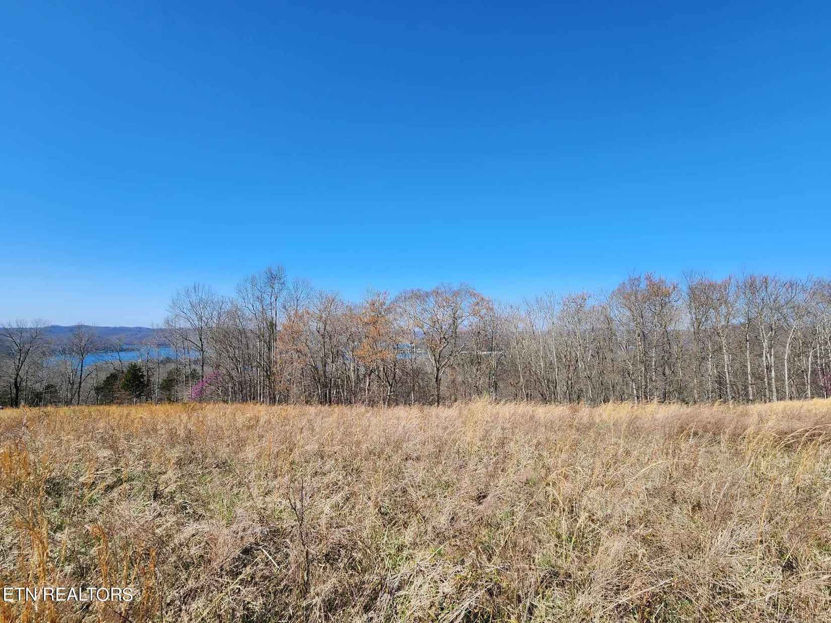 Lot 46b Bald Eagle Ln  