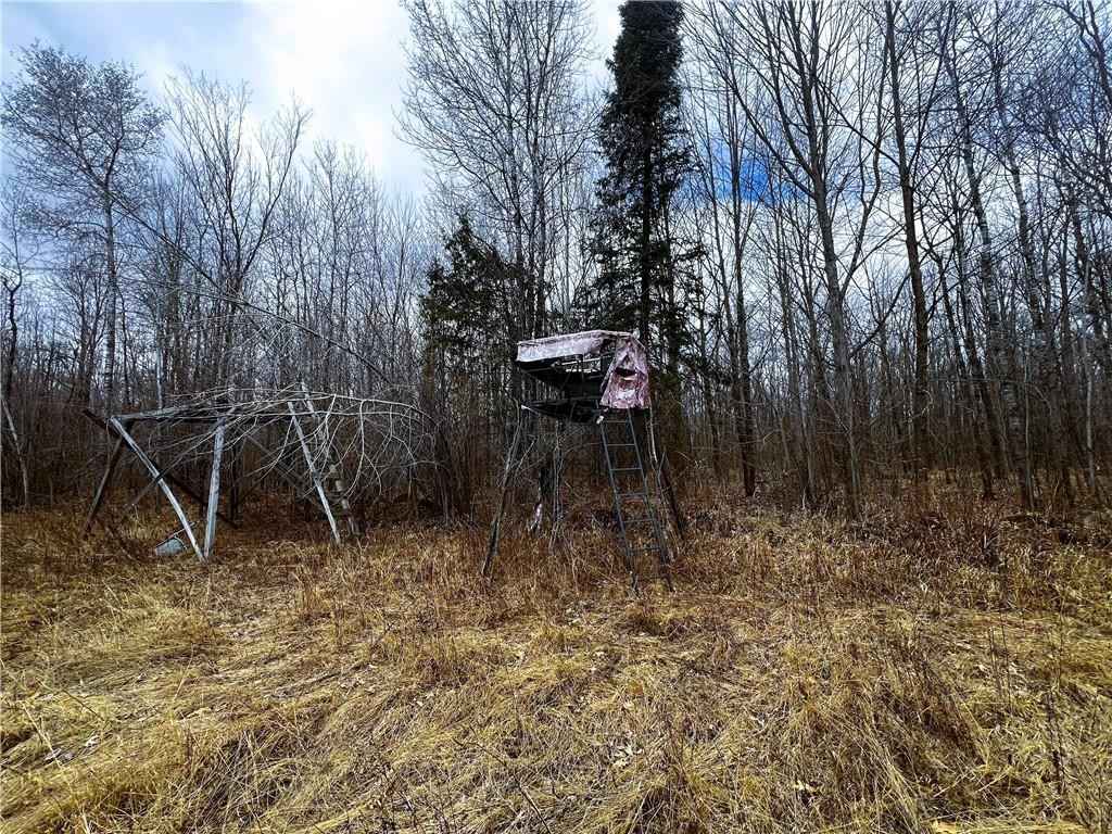 10 Acres on Andys Rd  