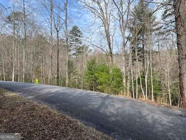 Lot 10 Lower Fox Trl  