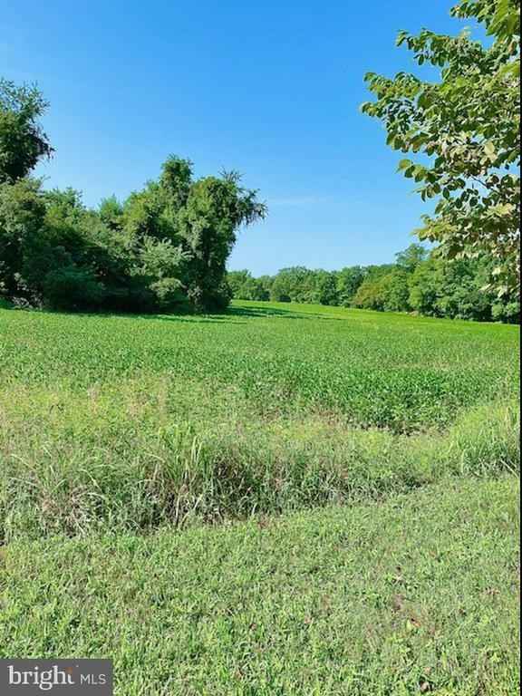 40 52 56 PHILLIPS Rd  