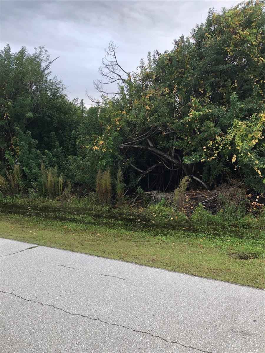 14319 ALLENSWORTH Ave  