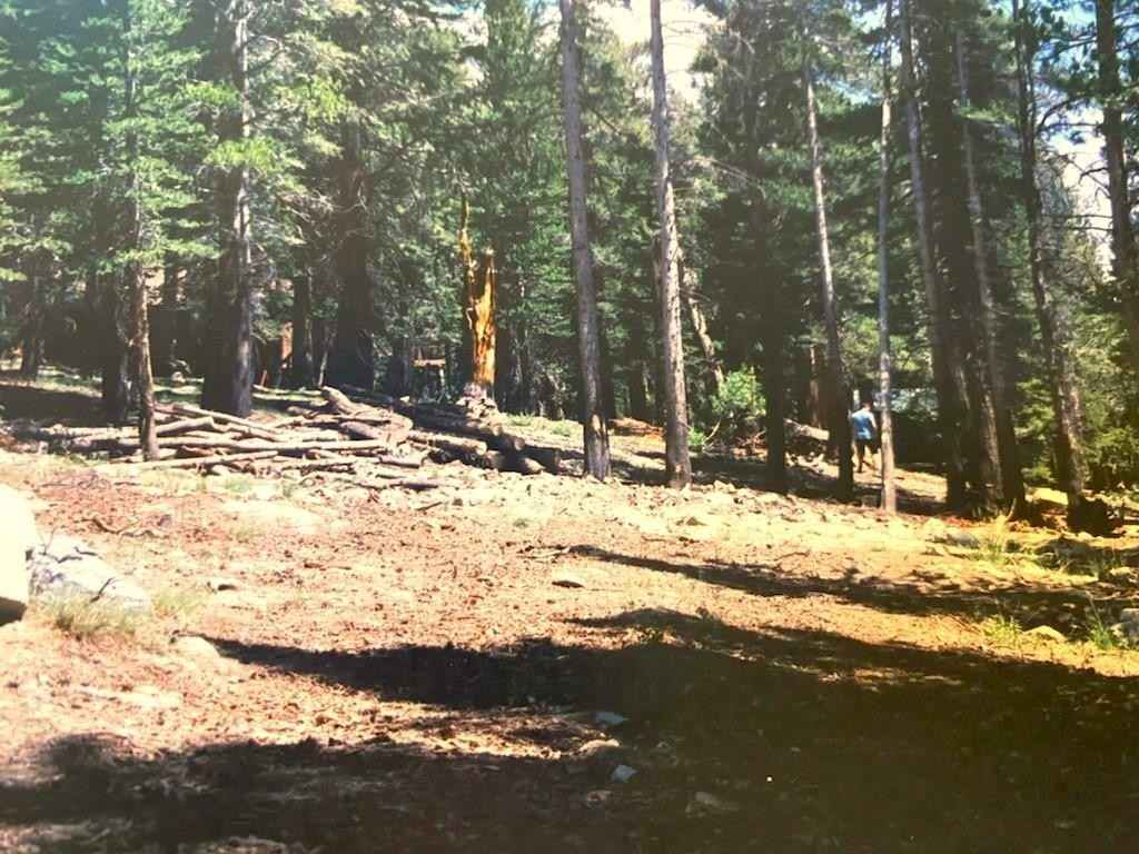90 Pinecrest  