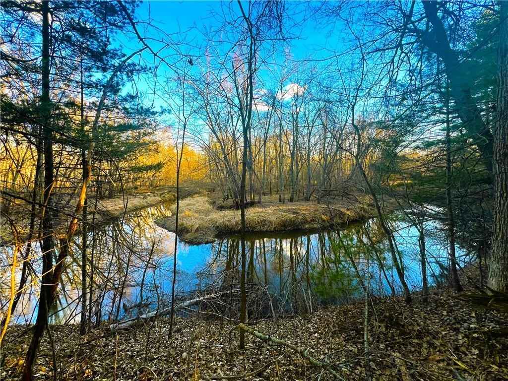 37 5 Acres on Thornapple Rd  