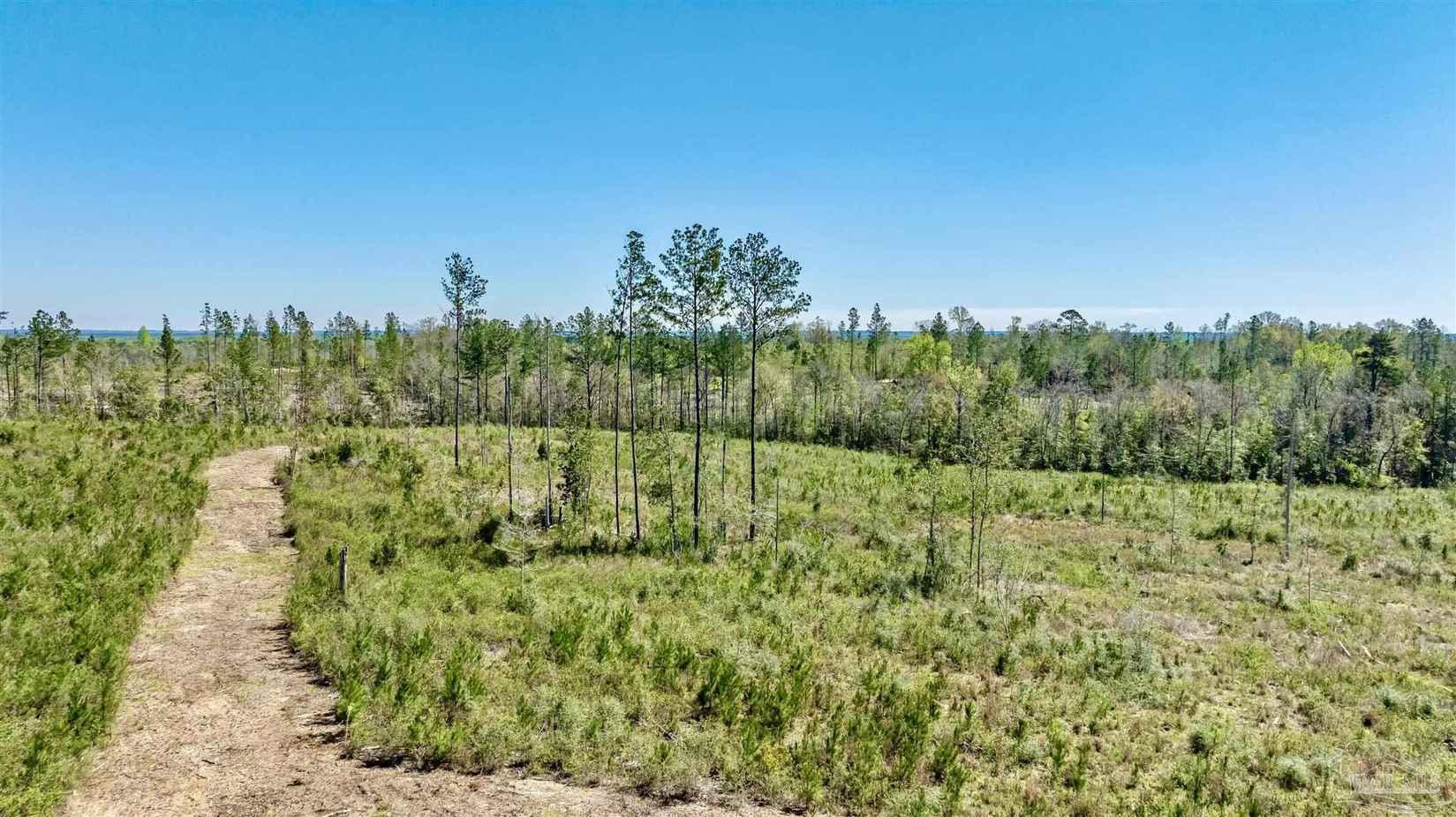 Lot 3-c Cotton Lk Rd  