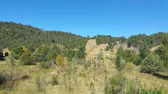 #1 Pinon Rdg Rd  