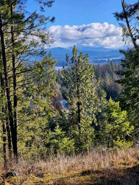 NNA Lot 3 Two Rivers  