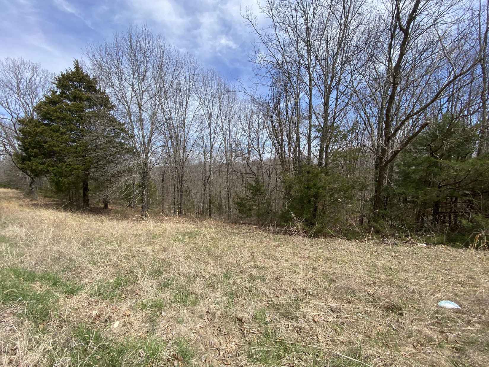 15 72 Acres Westgate Ln  