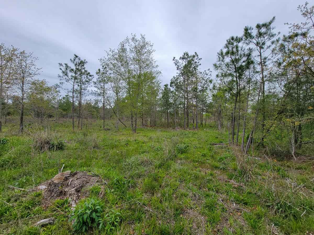 2 County Rd 3375  
