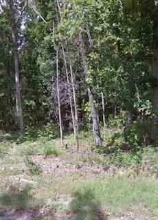 Lot 30 Kent DR  