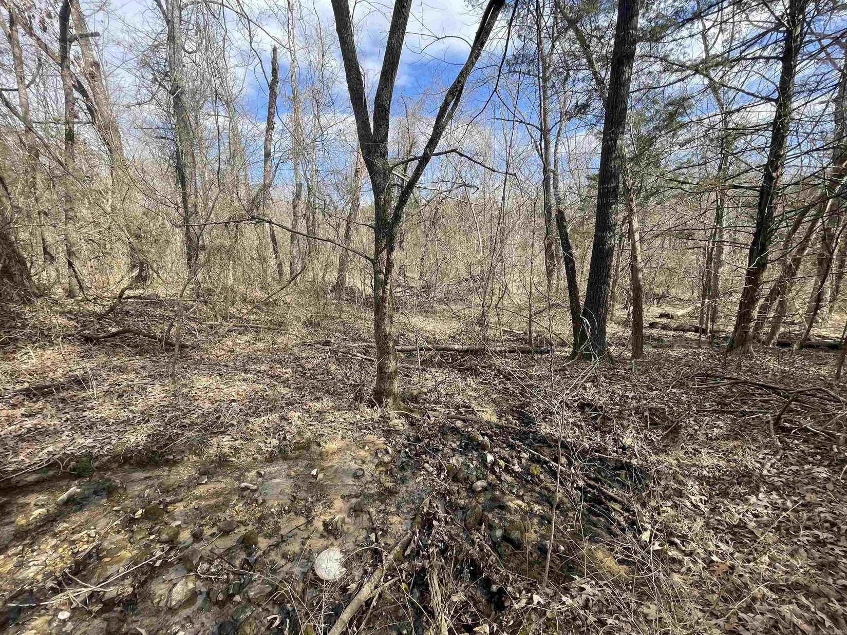 0 honeysuckle ln  