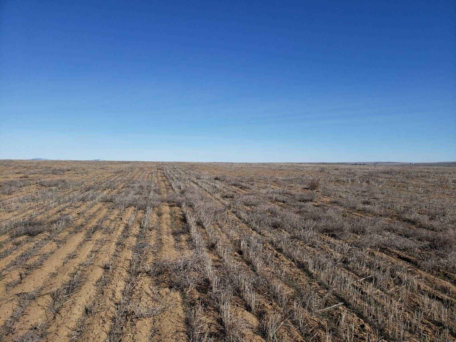 NNA Road 3 SW 154 Acres  