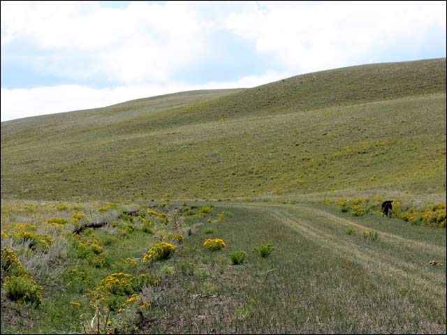 Lot 4735 Cahokia Rd  
