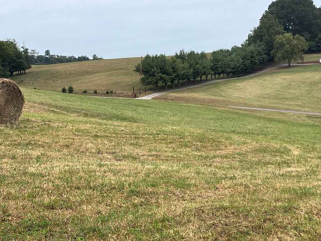 Lot 46 Forgety Rd  