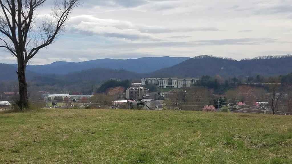 Parcel 016 Teaster Ln  