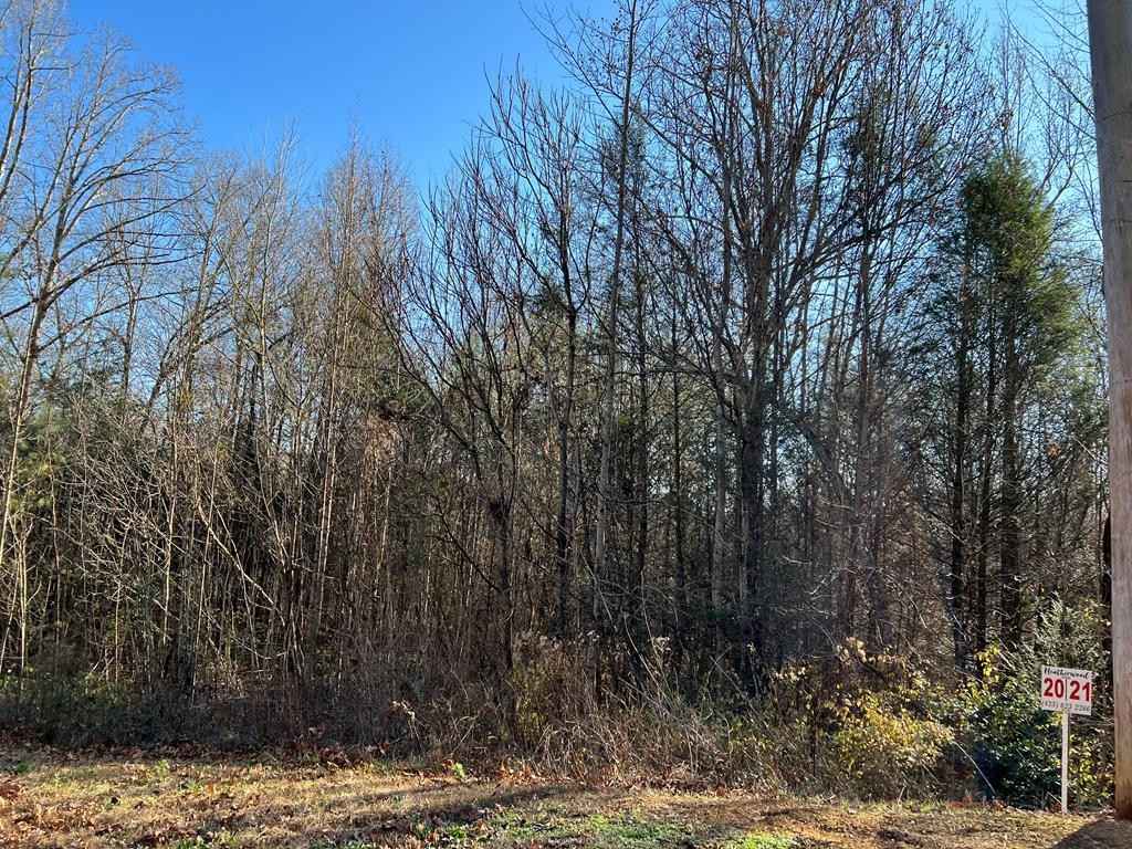 1429 Timber Trl  