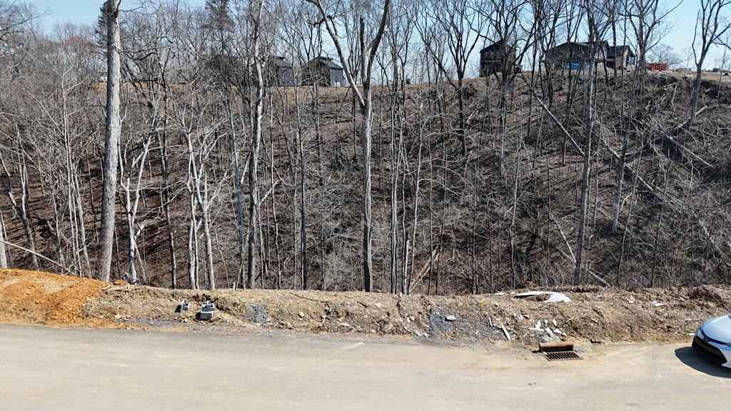 Lot 145 Reedmont Way  