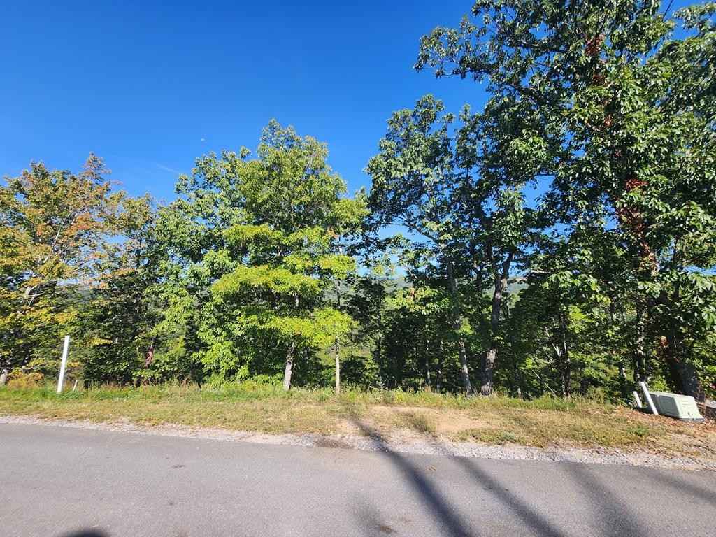 Lot 174 Smoky Blf Trl  