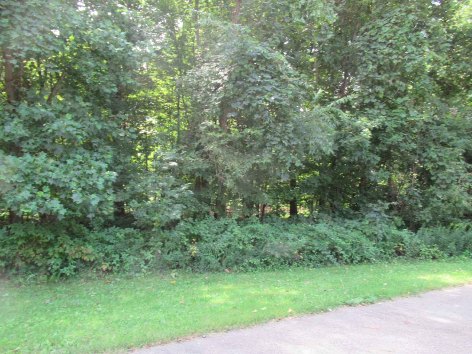 Tract 1 Deep Woods Dr  