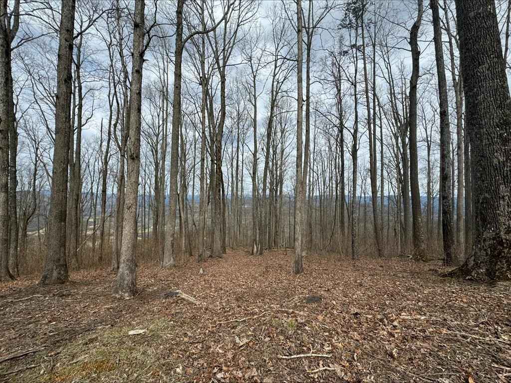 Lot 21 Rocky Knob Ests  