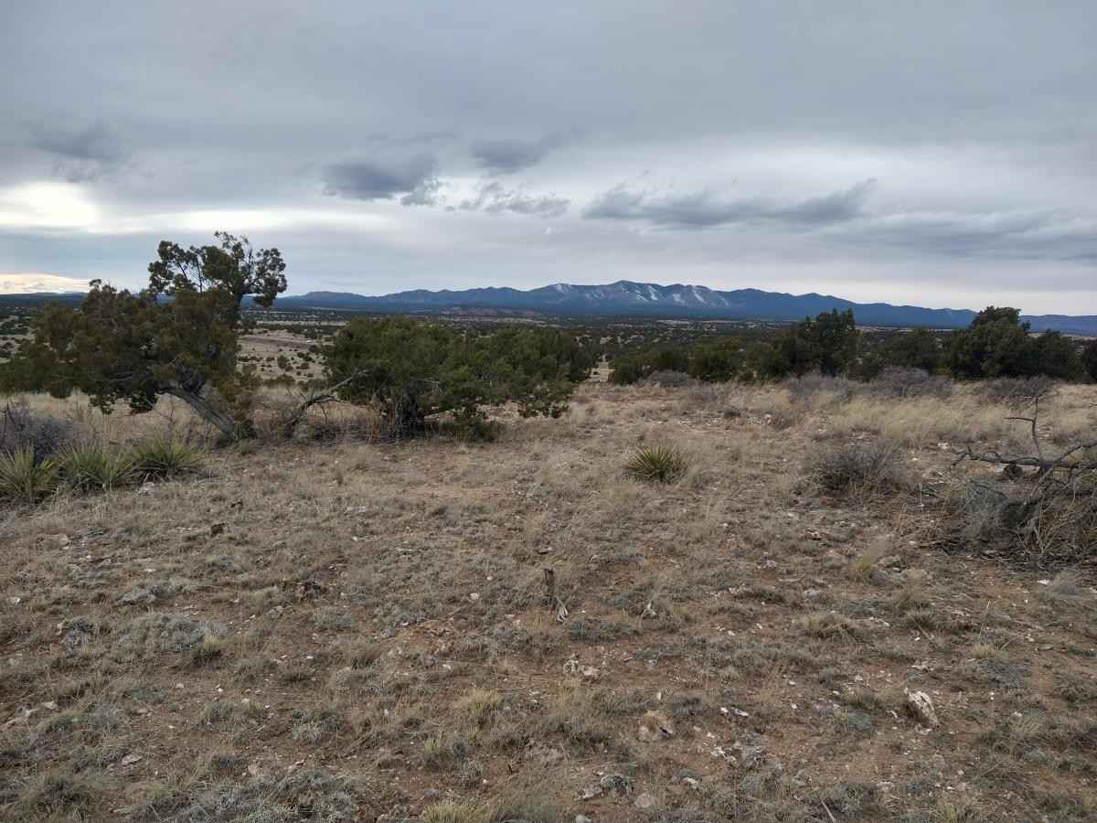 Tract 3 Bridle Path Loop  