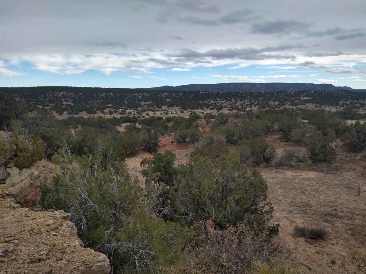 Tract 2 Bridle Path Loop  