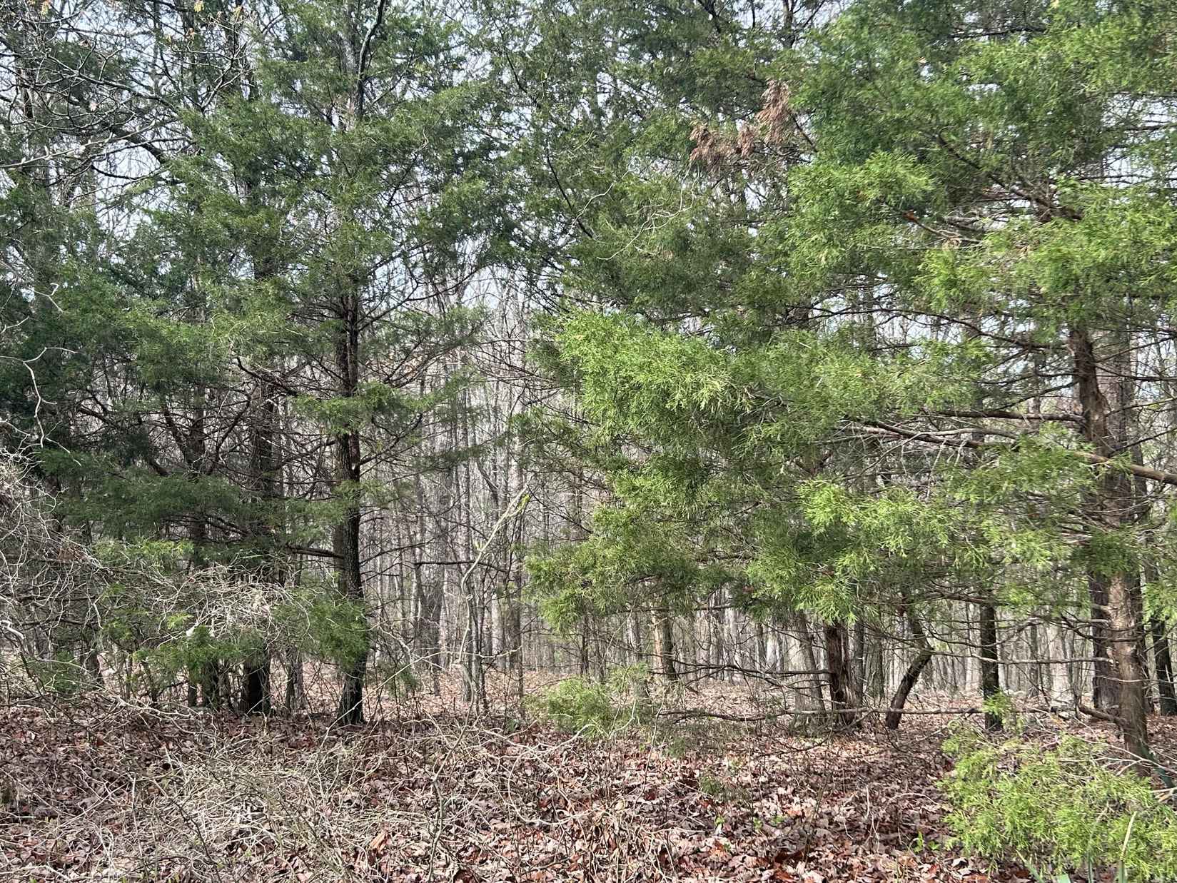 10 Acres on Top Ln  