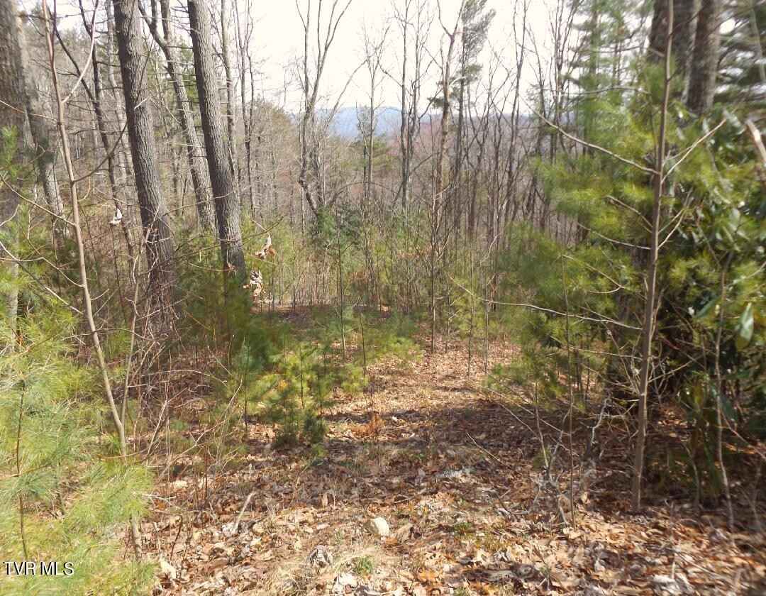 401 Chestnut Lot 54 Cir  