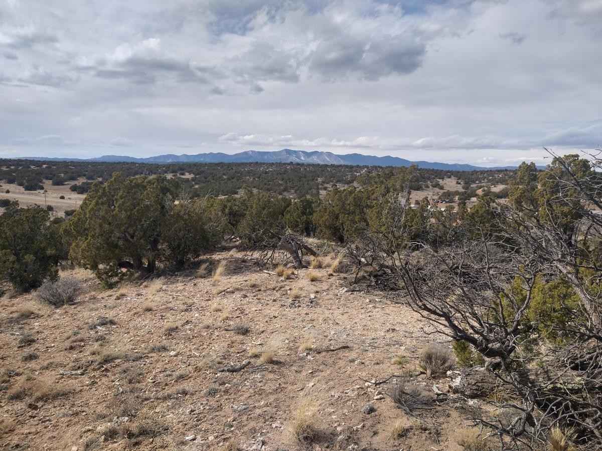 Tract 5 Bridle Path Loop  