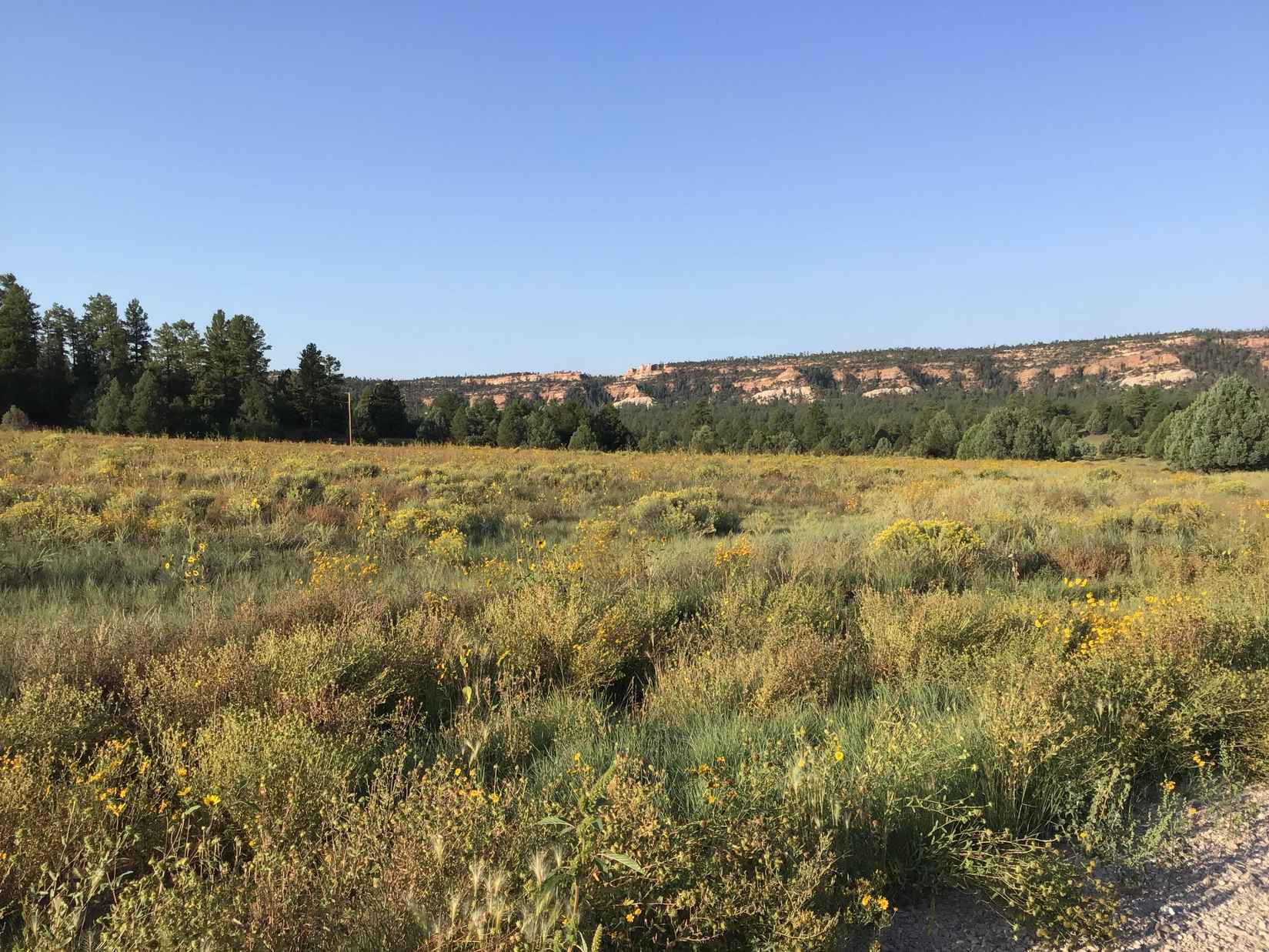 Lot 14 E Elk Dr  