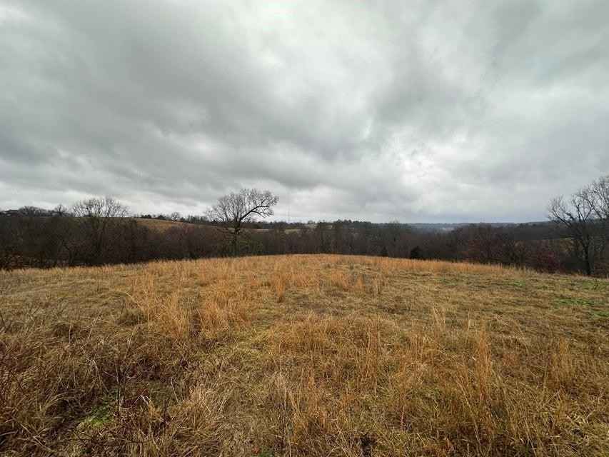 5 33 Acres Mountain Rdg RD  