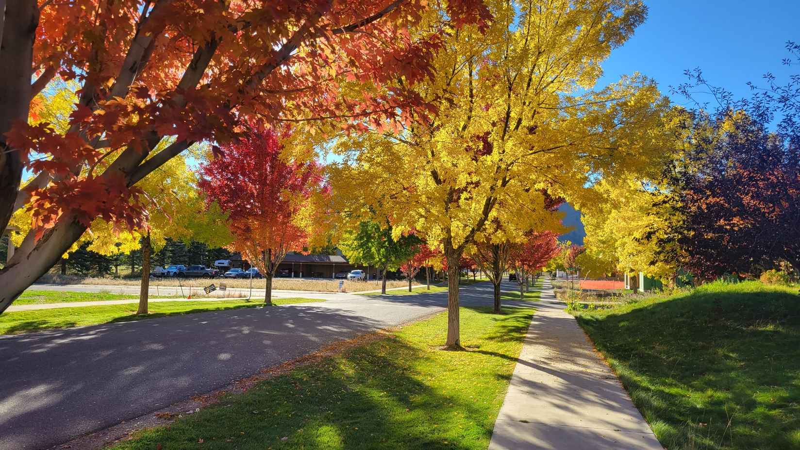 1050 E Myrtle St (Duplex Lot)  