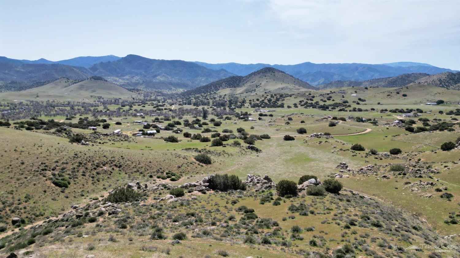0 0 Pinto Panorama  