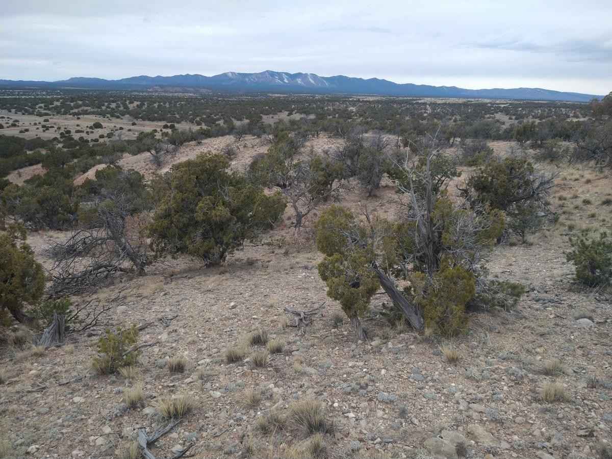 Tract 6 Bridle Path Loop  