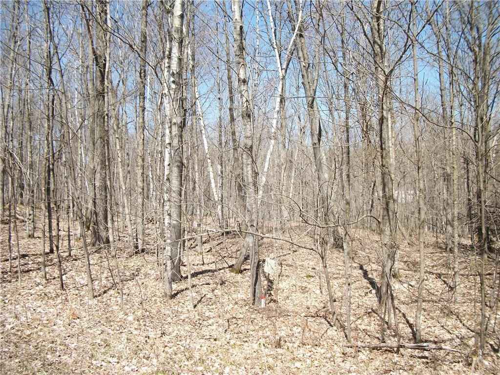 Lots Unit 99 Unit 100 WOODS (SPRUCE) Ave  