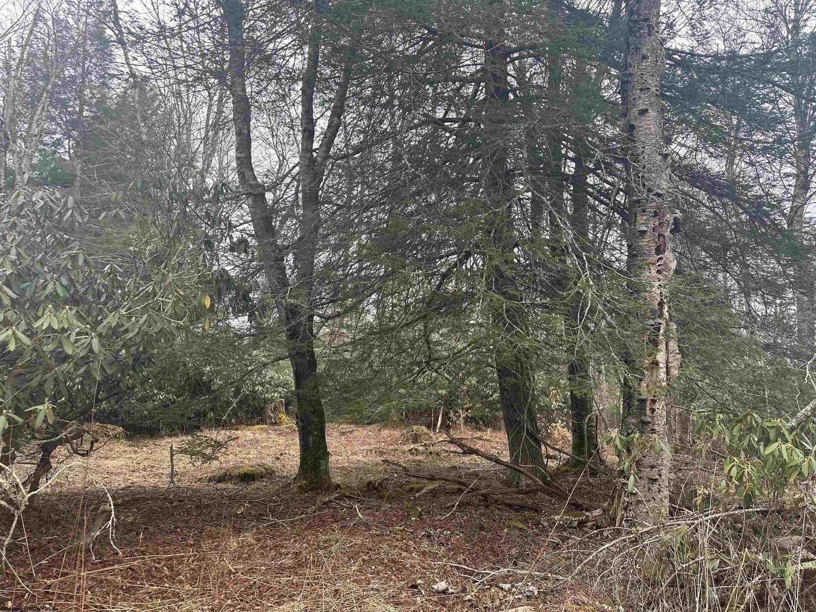 Lot 4 Medici Ln  