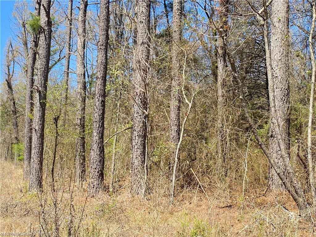 TBD N State Hwy 23 north  